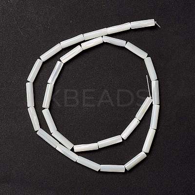 Natural Trochid Shell/Trochus Shell Beads X-SSHEL-O001-26B-1