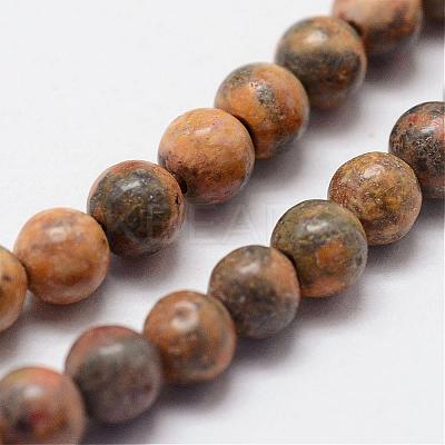 Natural Leopard Skin Jasper Beads Strands G-N0181-02-4mm-1