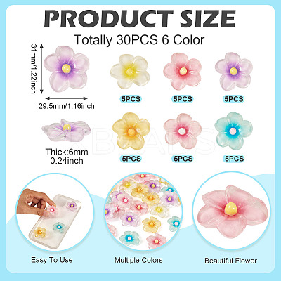 30Pcs 6 Colors Transparent Resin Cabochons RESI-TA0004-45-1
