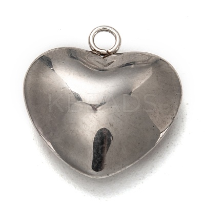 Non-Tarnish 304 Stainless Steel Pendants STAS-I170-15P-1