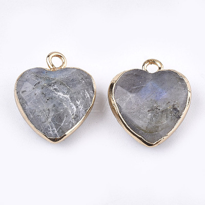 Electroplate Natural Labradorite Pendants G-T112-03A-1