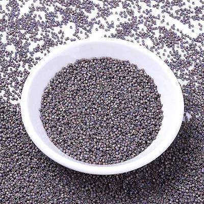MIYUKI Delica Beads X-SEED-J020-DB1067-1