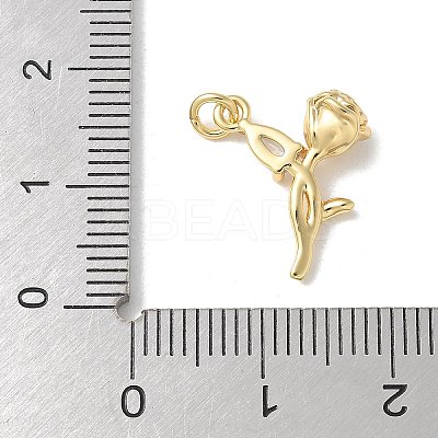 Brass Micro Pave Clear Cubic Zirconia Pendants KK-Q031-02G-1
