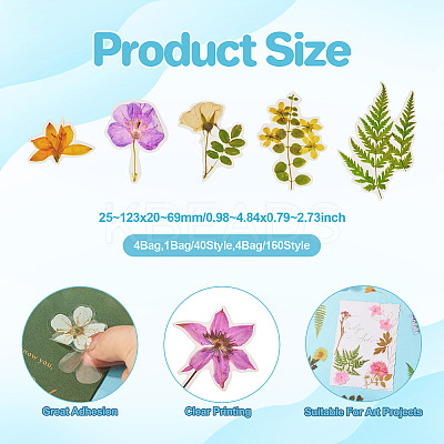 4 Bags 4 Styles Plant PET Adhesive Waterproof Stickers DIY-TA0009-84-1