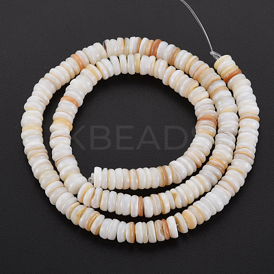 Natural Freshwater Shell Beads Strands SHEL-T018-31-1