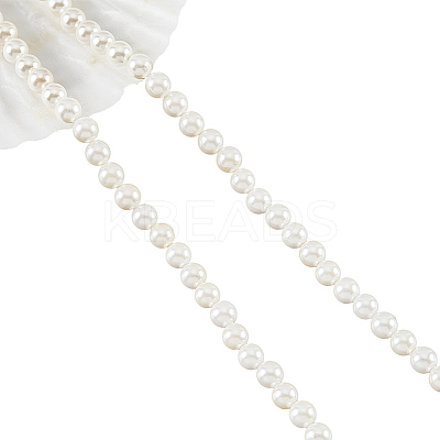 Glass Pearl Beads Strands SHEL-WH0001-009A-1-1