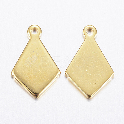 304 Stainless Steel Charms X-STAS-P142-10G-1