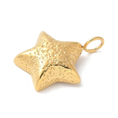 304 Stainless Steel Pendants STAS-G352-33G-1