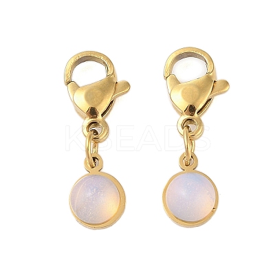 Ion Plating(IP) 316 Surgical Stainless Steel Pendant Decorations STAS-A097-04G-15-1