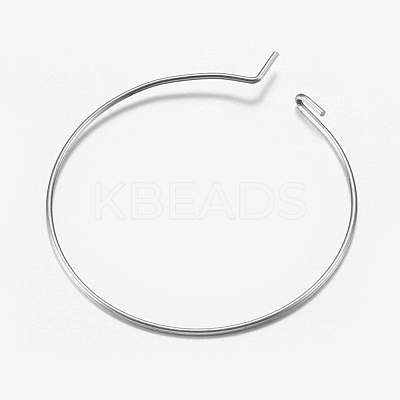 316 Surgical Stainless Steel Hoop Earrings Findings STAS-I097-050A-1