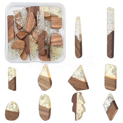 20Pcs 10 Styles Transparent Resin & Walnut Wood Pendants RESI-YW0001-30-1