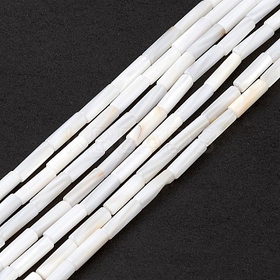 Natural Freshwater Shell Beads Strands SHEL-M018-10-1