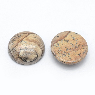 Natural Picture Jasper Cabochons G-E492-A-10-1