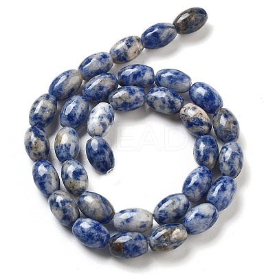 Natural Blue Spot Jasper Beads Strands G-B106-B29-01-1