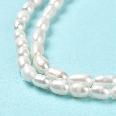 Natural Cultured Freshwater Pearl Beads Strands PEAR-E016-143-1