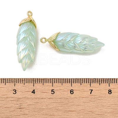 Rainbow Iridescent Plating Resin Pendants RESI-C047-03D-G-1