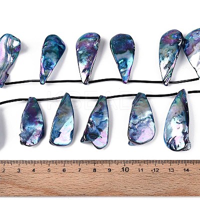 AB Color Plated Dyed Natural Freshwater Shell Beads Strands SHEL-T020-55C-1