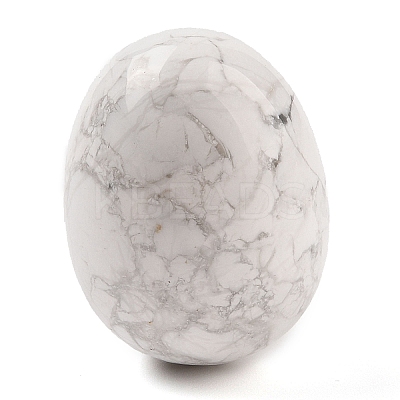 Natural Howlite Palm Stones G-I367-04B-1