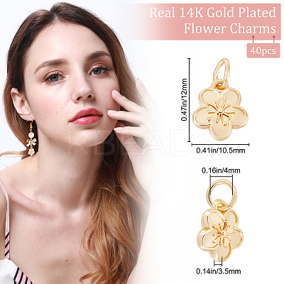40Pcs Rack Plating Alloy Charms FIND-BBC0004-44-1