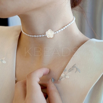 30Pcs Natural Freshwater Shell Beads Strands SHEL-CJ0001-30-1