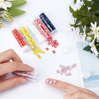 6 Colors 2-Hole Glass Seed Beads SEED-NB0001-26-1
