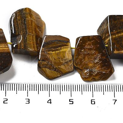 Natural Tiger Eye Beads Strands G-P528-K11-01-1