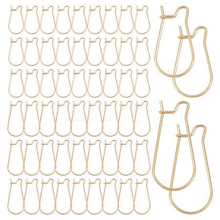 60Pcs 2 Style Surgical Stainless Steel Hoop Earrings Findings STAS-CN0001-03-1
