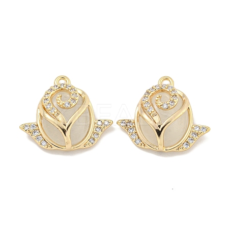 Brass Micro Pave Clear Cubic Zirconia Enamel Pendants KK-S386-24G-1