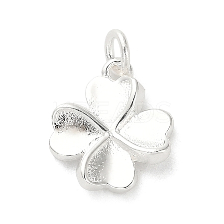 925 Sterling Silver Charms LS-FIND-Z069-04S-C-1