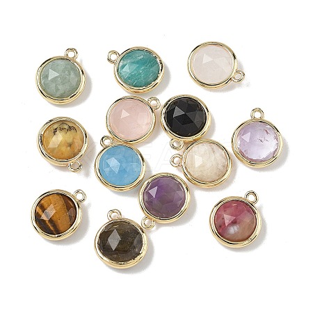 Natural Mixed Stone Faceted Flat Round Charms G-U028-03G-1