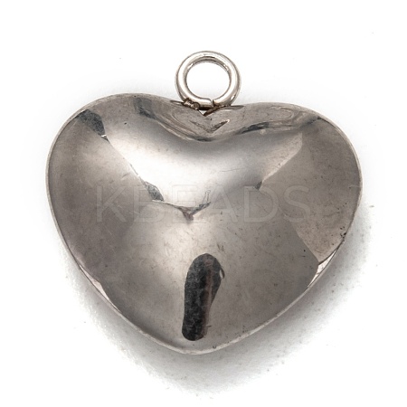 Non-Tarnish 304 Stainless Steel Pendants STAS-I170-15P-1
