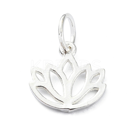 925 Sterling Silver Charms STER-M119-10S-1