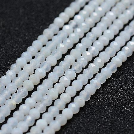 Natural Blue Chalcedony Bead Strands G-P270-2mm-01-1