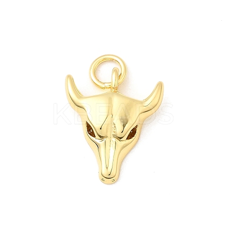Brass Pendants KK-I364-47G-1
