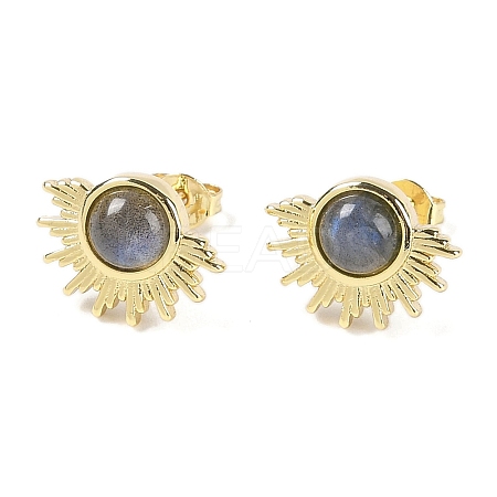Natural Labradorite Stud Earrings EJEW-K288-01G-10-1