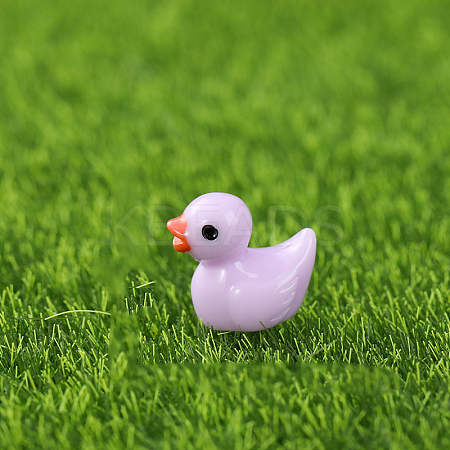 Mini Duck Resin Display Decorations FIND-SZC0013-354-1