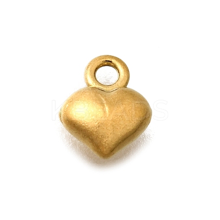 304 Stainless Steel Charms LS-STAS-D310-06G-03-1