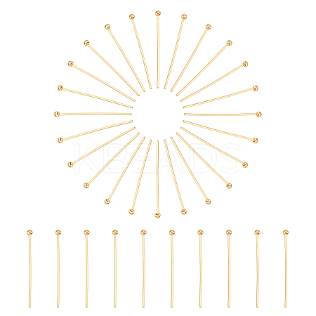 304 Stainless Steel Head Pins X-A-STAS-P227-12G-1