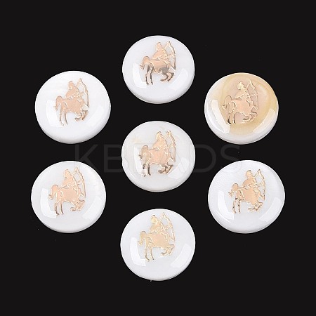 Natural Freshwater Shell Beads SHEL-N037-02I-G-1