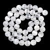 Natural Selenite Beads Strands X-G-G167-A01-01-3