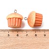 Opaque Resin Pendants RESI-K048-01E-3