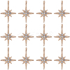 30Pcs Alloy Rhinestone Pendants FIND-SC0011-04-1