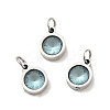 304 Stainless Steel Pendants STAS-D189-07P-C-2