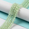 Natural Nephrite Jade/Hetian Jade Beads Strands G-NH0005-030A-2