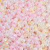 Glass Seed Beads SEED-K010-03I-2