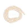 Natural Cultured Freshwater Pearl Beads Strands PEAR-P064-19D-08E-3