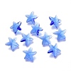 Faceted Glass Charms GLAA-H101-A-03-1