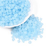 FGB Frosted Transparent Glass Seed Beads SEED-N013-03A-11-1