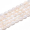 Natural Cultured Freshwater Pearl Beads Strands PEAR-N014-04G-2