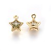 Golden Tone Brass Micro Pave Cubic Zirconia Charms ZIRC-L075-13-3